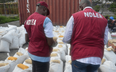 In Kano, the NDLEA busts a criminal cartel and confiscates 116 bags of marijuana.