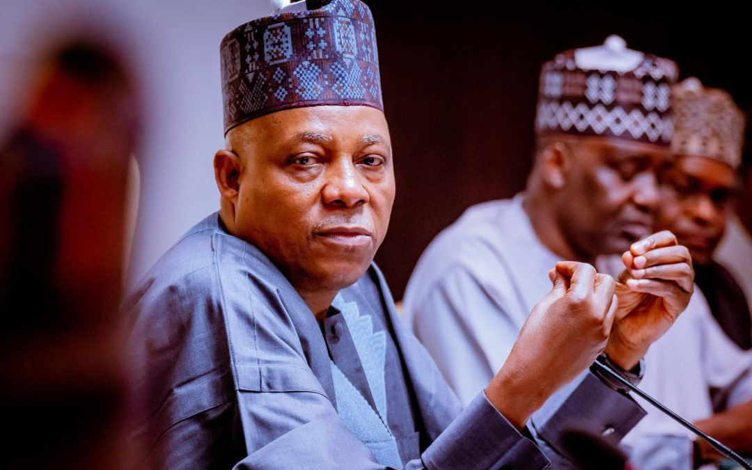 Shettima appoints Hakeem, brother of Obi’s running mate Datti, as special adviser