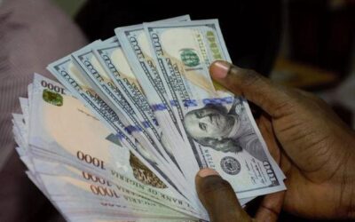 Naira’s Tumble: Seeking Stability in a Turbulent Forex Landscape