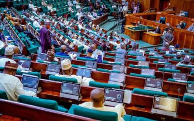 Lawmaker weeps in parliament over heightened insecurity under Tinubu