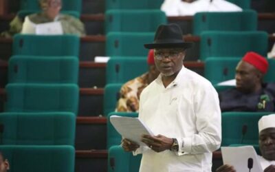 Nobody can earn less than N100,000 and survive in Nigeria – Reps caucus leader, Chinda