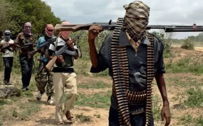 Terrorists Threaten to Kill 286 Kaduna Students and Staff in 20 Days, Demand N1bn Ransom